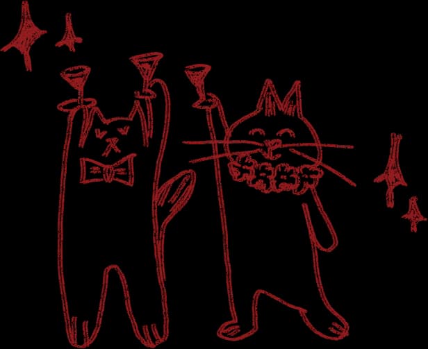 Котики
